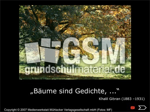 Präsentation Bäume-sind-Gedichte.pdf